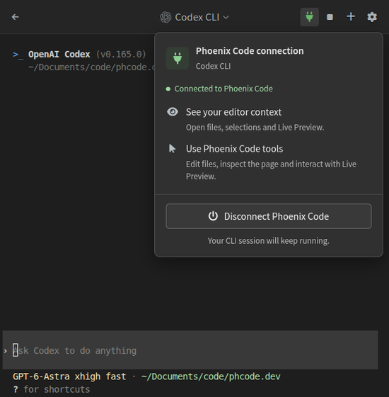 Codex CLI connected to Phoenix, showing editor tools and its current context limitation